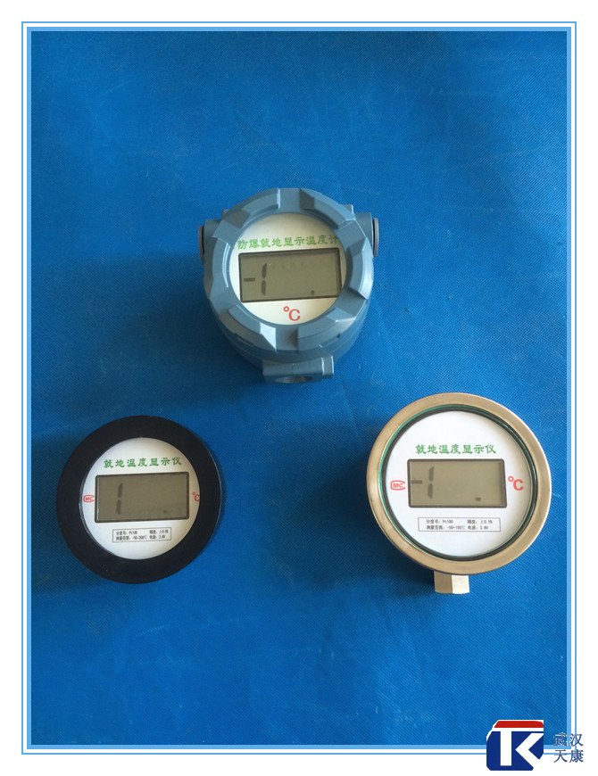 無(wú)源數(shù)顯溫度傳感器、無(wú)需外接電源、鋰電池供電